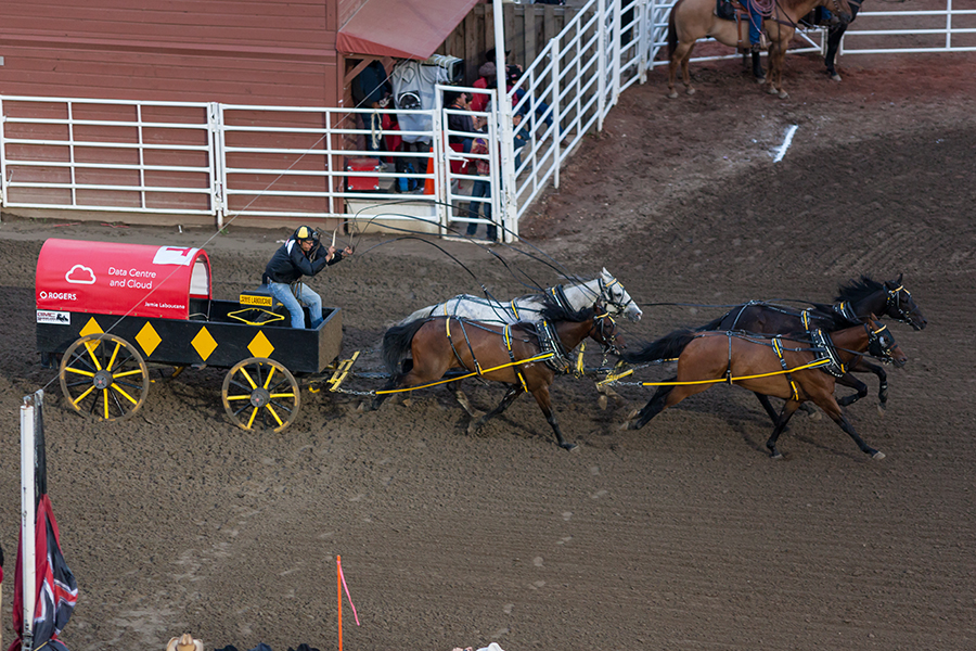 chuck wagon race