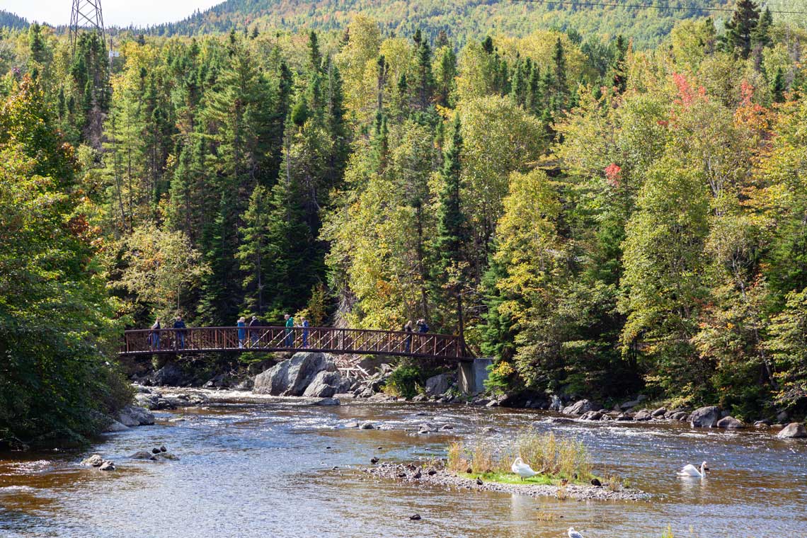 Corner Brook Steam Trail