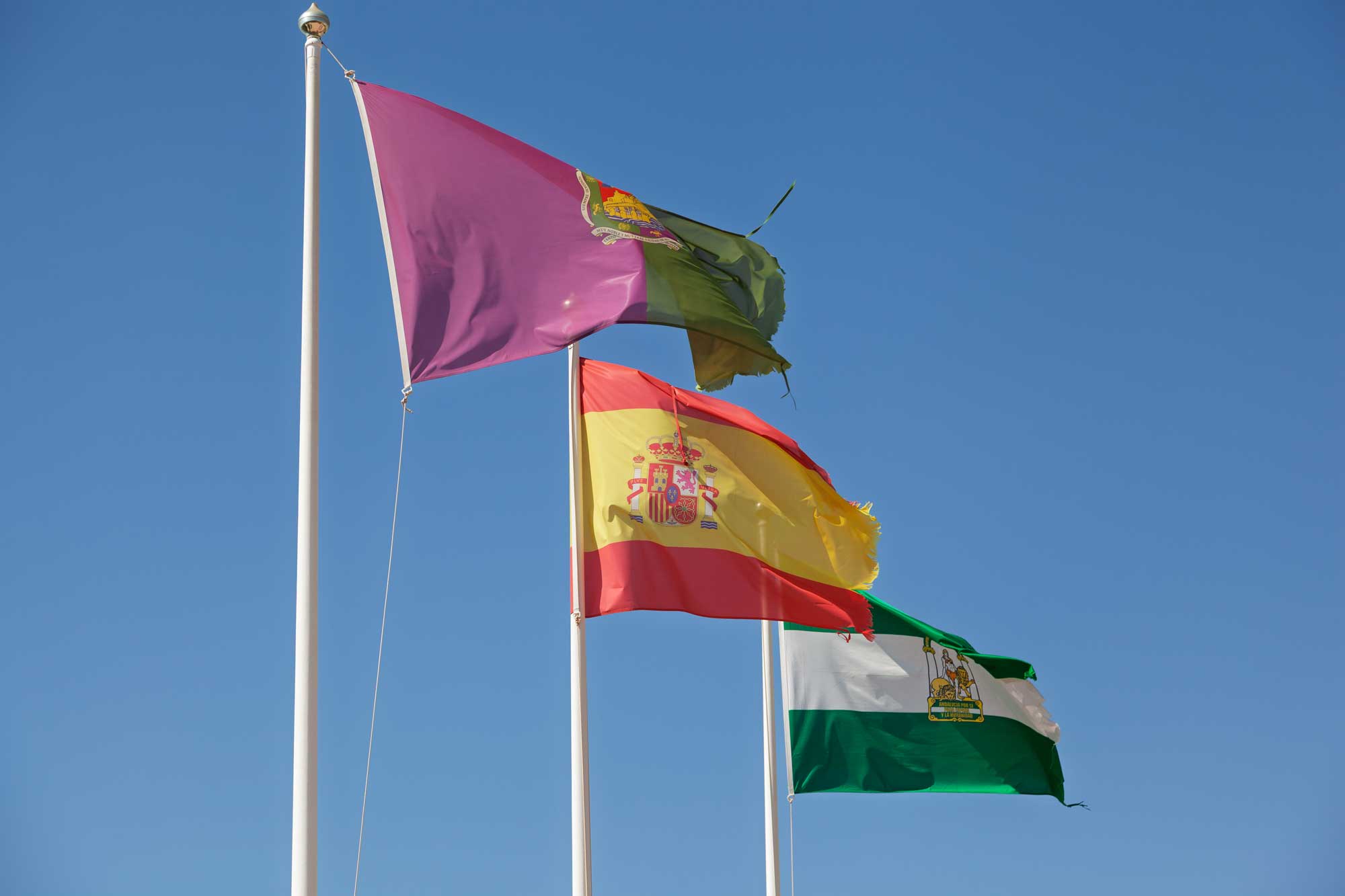 flags