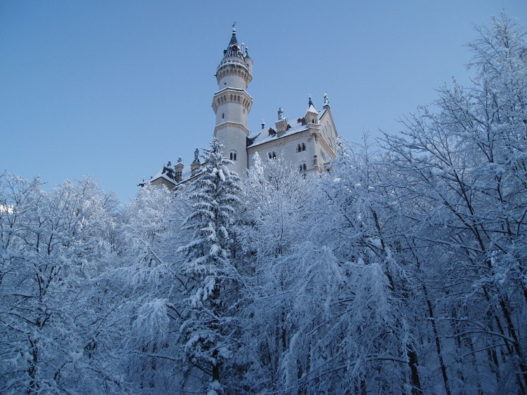 Picture of Schloss Neuschwanstein