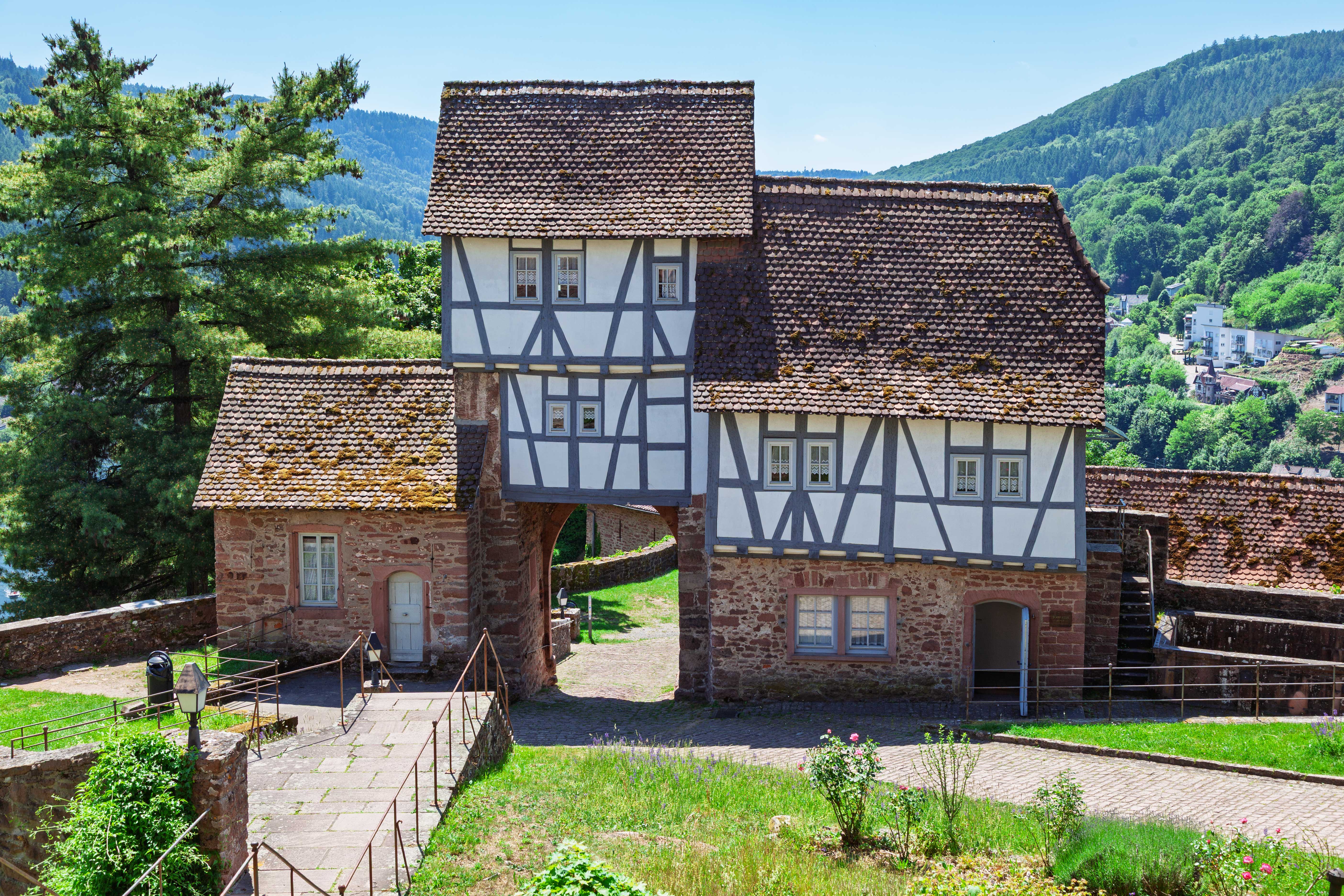 Dilsberg