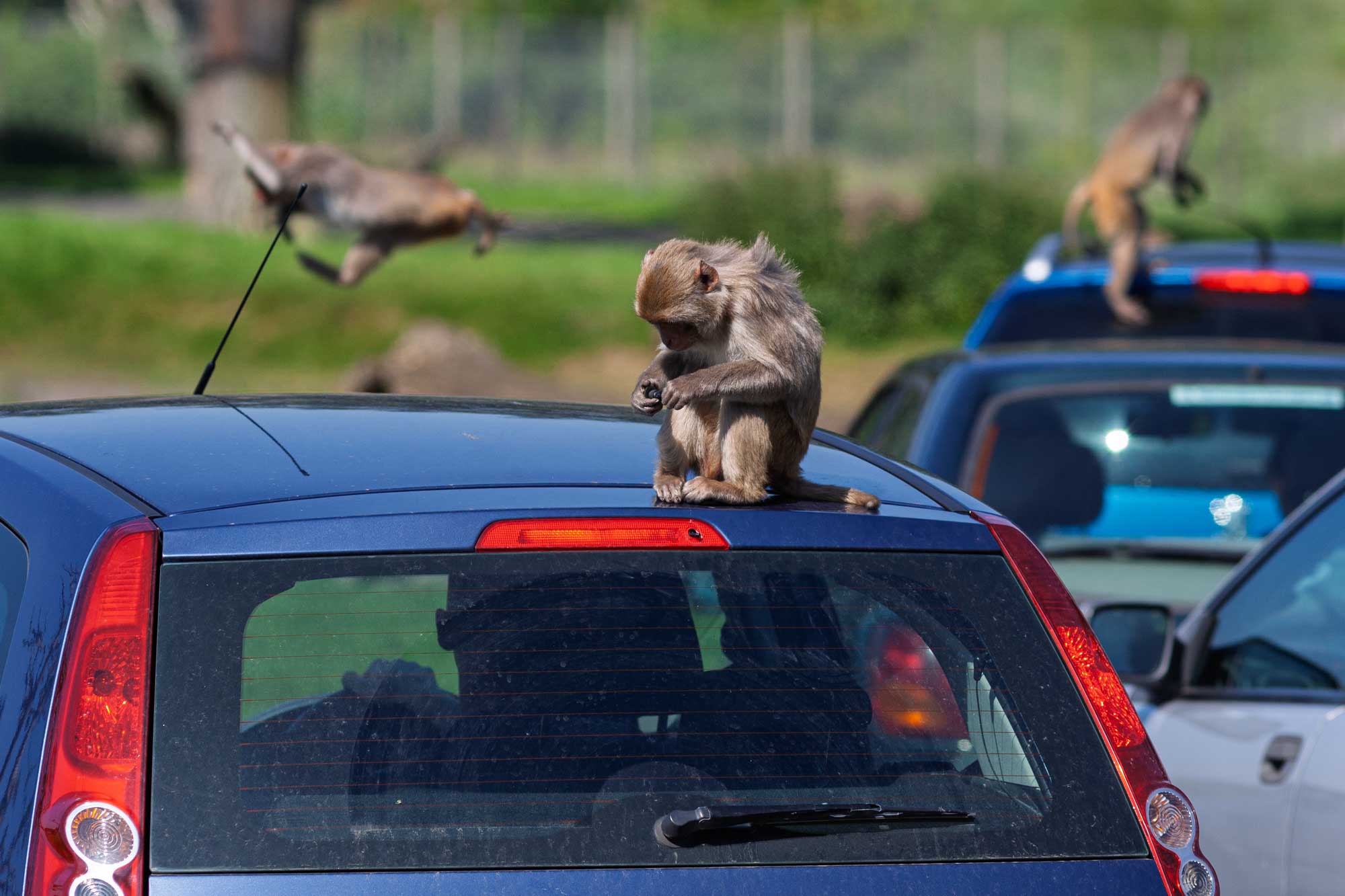 Longleat