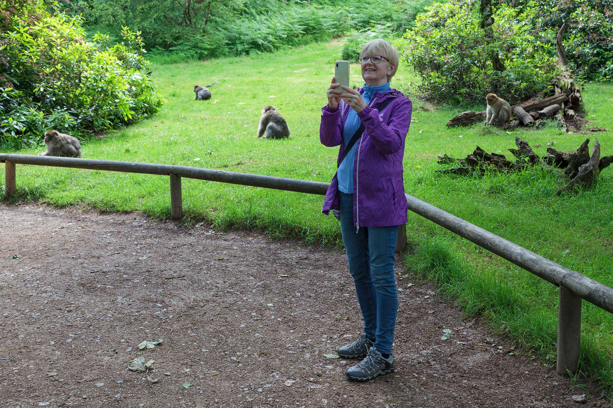 the Monkey Forest at Trentham Gardens