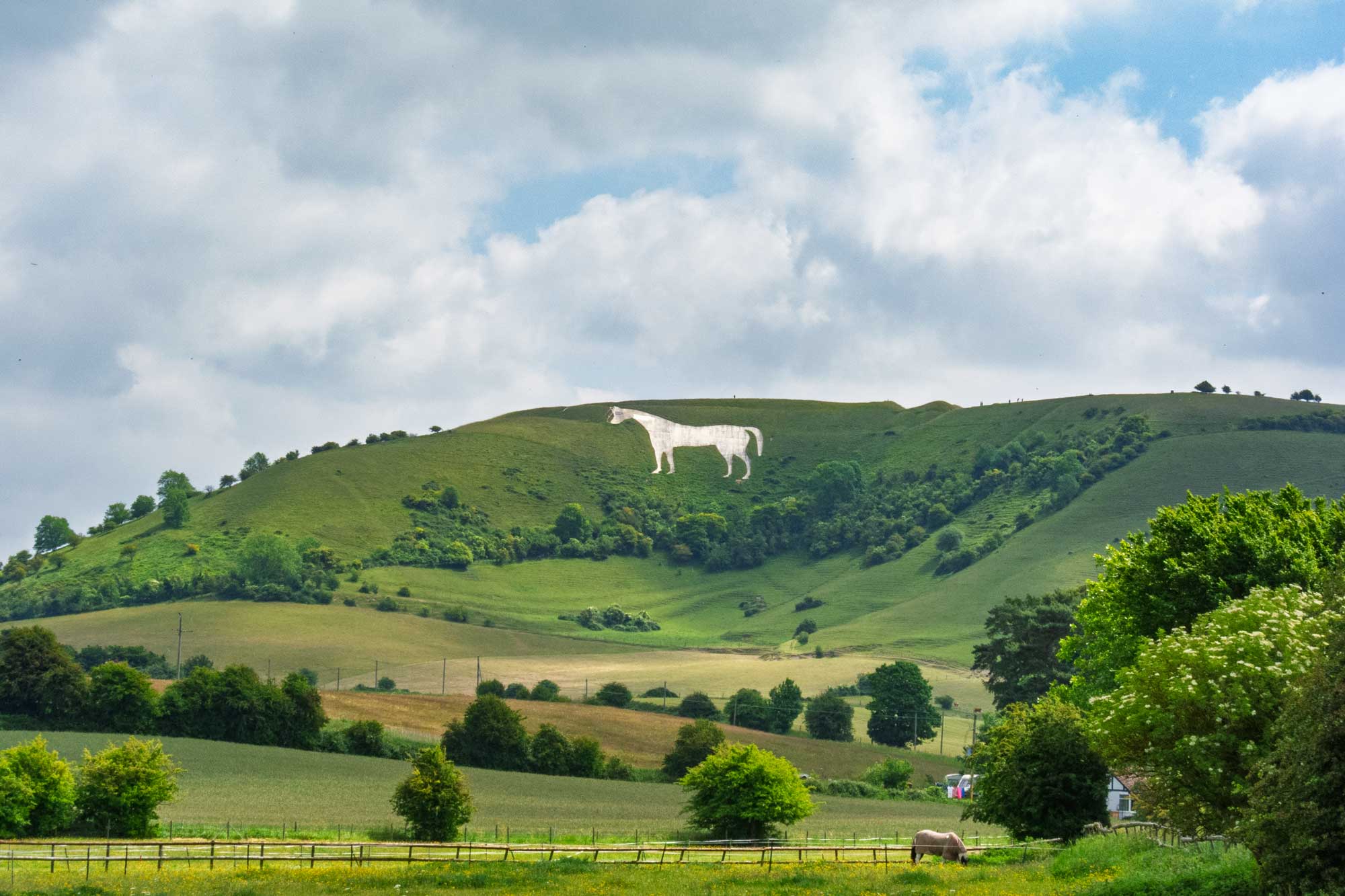 White Horse at Westbury