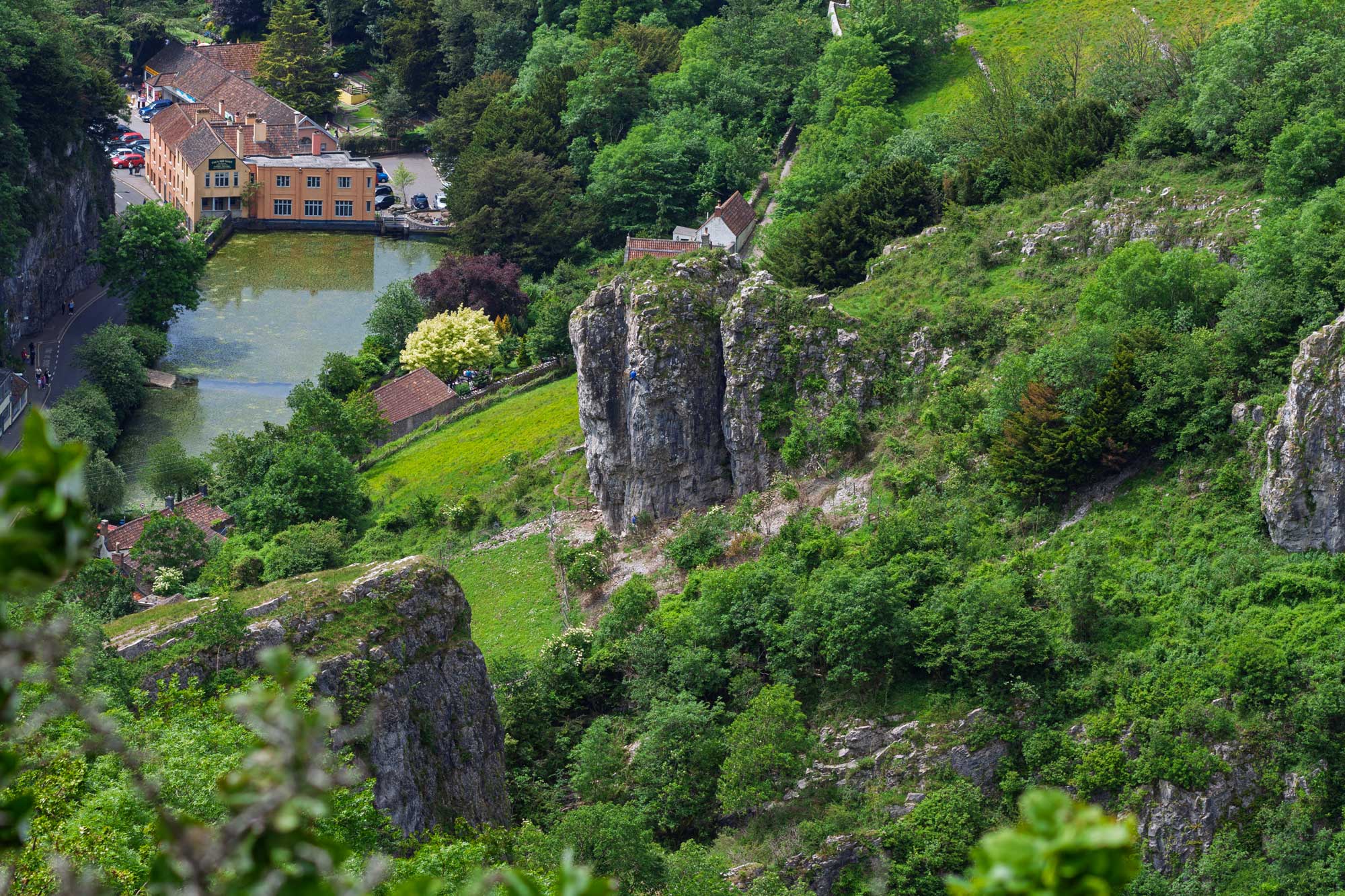 cheddar gorge