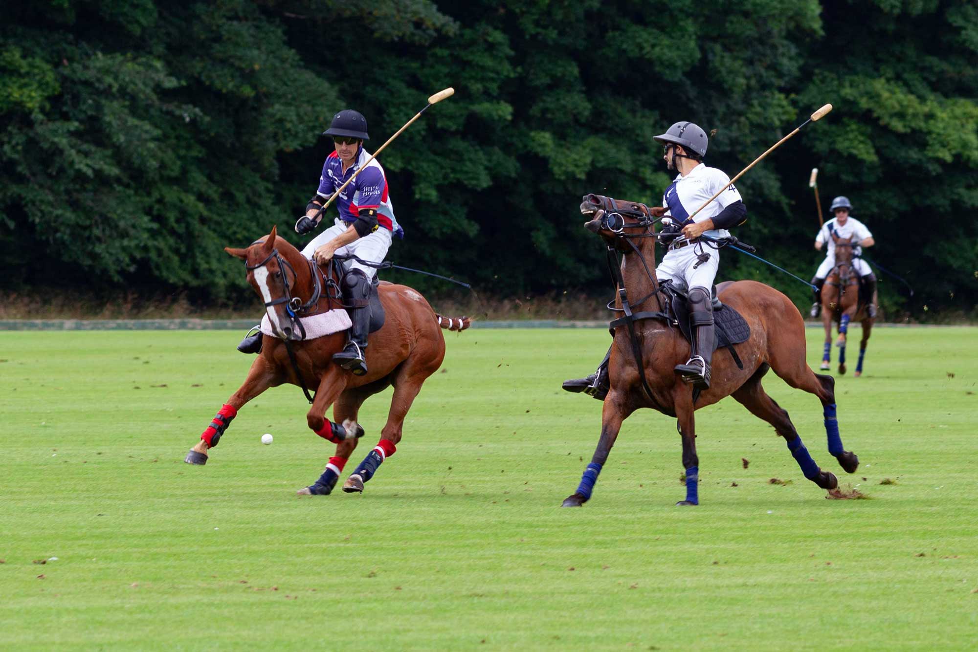 polo at Cirencester Park