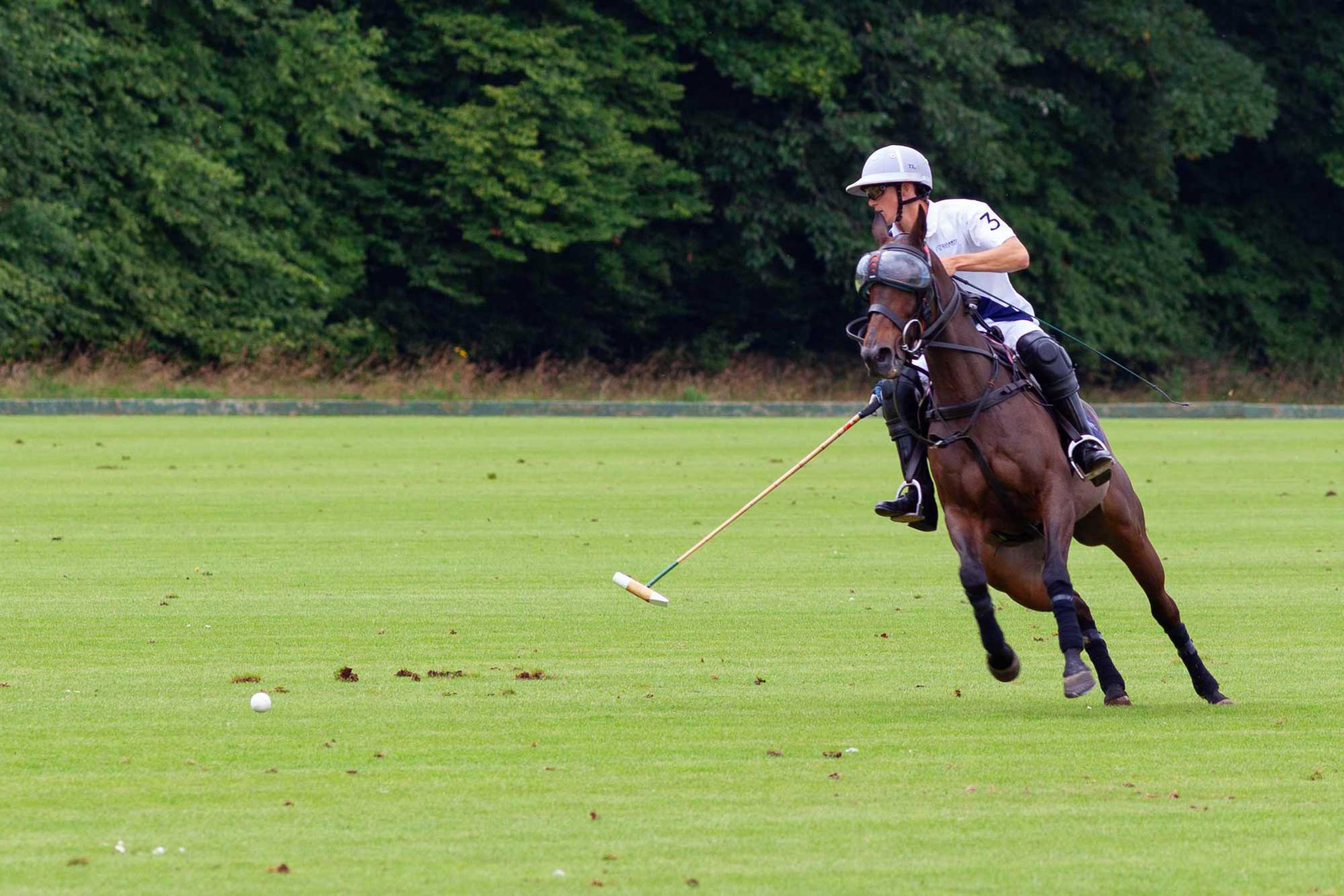 polo at Cirencester Park