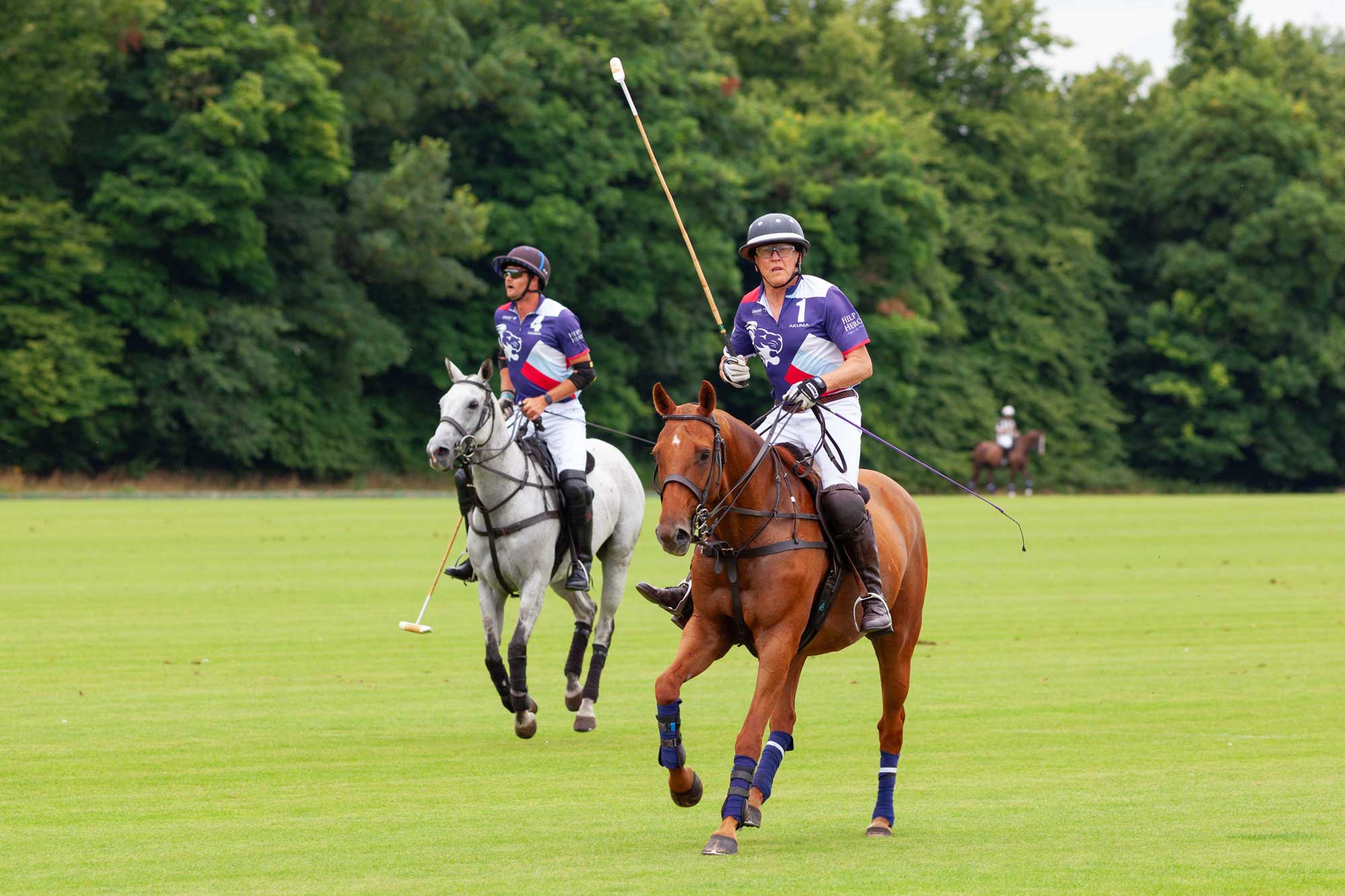 polo at Cirencester Park