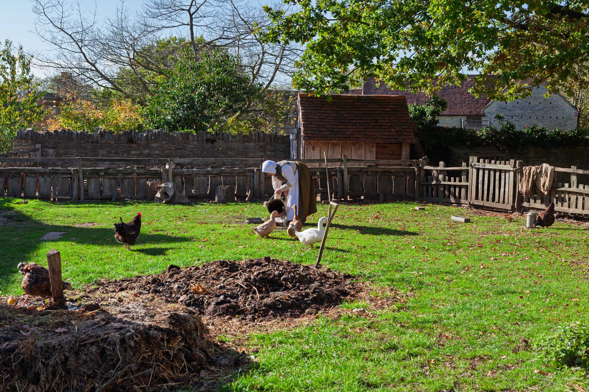 mary arden's farm