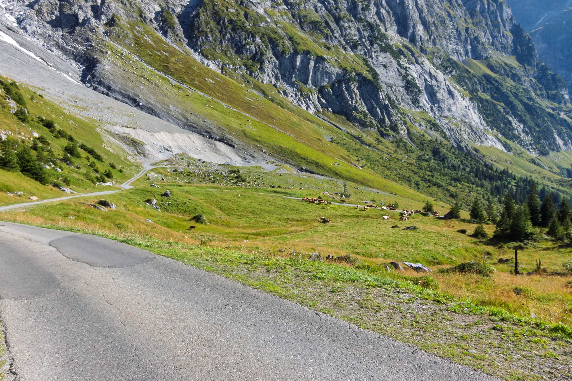 Cycling Grosse Scheidegg from Interlaken via Grindlewald