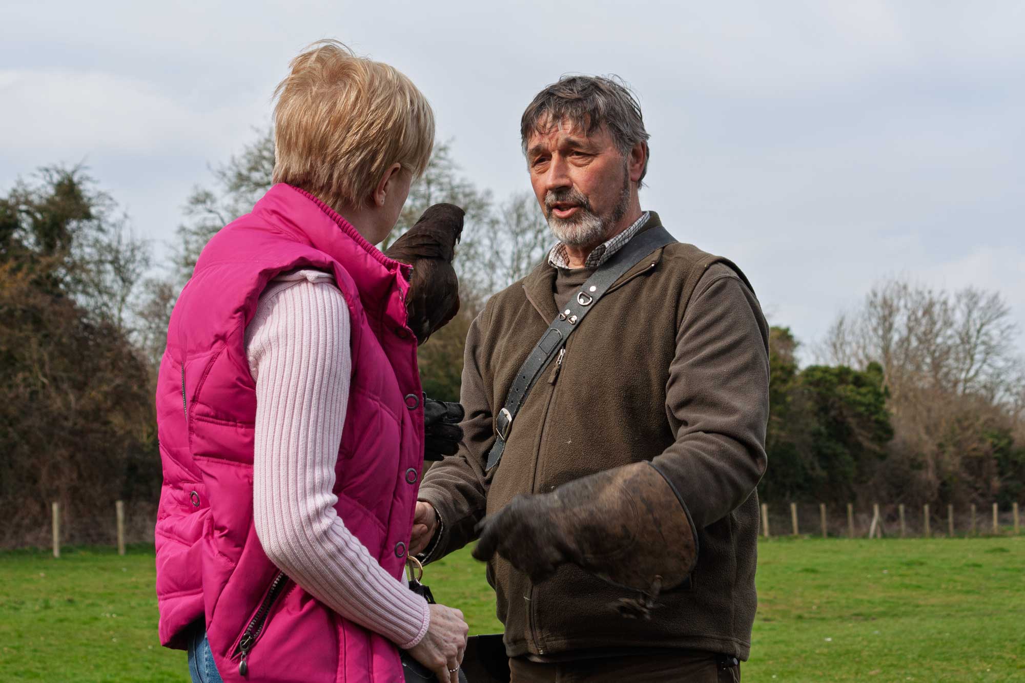 mary arden's farm